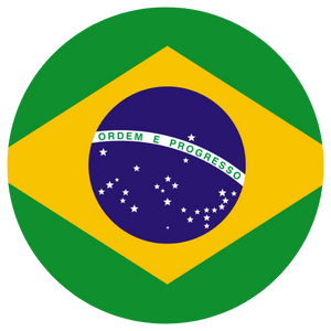 Brazil AI Bill 2338/2023