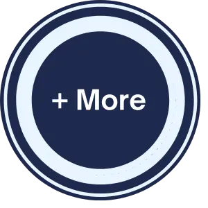 Seal representing More+ regulations & standards