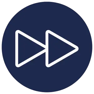 Icon Accelerate Alignment AI Governance Advisory